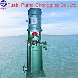 CLG marine vertical multistage single-suction domesticwater pump111.jpg